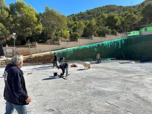 construccionWhatsApp Image 2024-12-20 at 12.54.06(1)