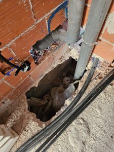 obra-tradicionalWhatsApp Image 2024-12-20 at 13.57.34