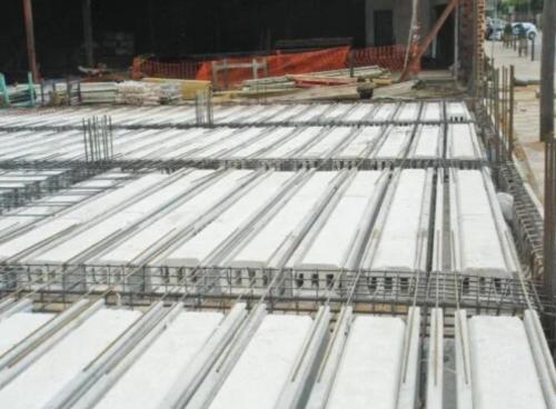 WhatsApp Image 2024-03-25 at 12.48.13(2)